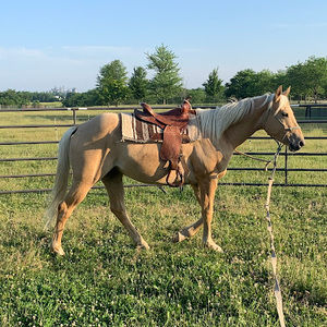 Meet your Posher, Kierra